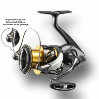 Shimano Twin Power 4000 FD Frontbremse