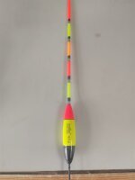 Waggler mit Multicolor Antenne 12,0gr